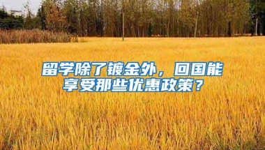 留学除了镀金外，回国能享受那些优惠政策？