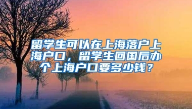 留学生可以在上海落户上海户口，留学生回国后办个上海户口要多少钱？