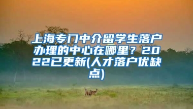 上海专门中介留学生落户办理的中心在哪里？2022已更新(人才落户优缺点)