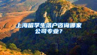 上海留学生落户咨询哪家公司专业？