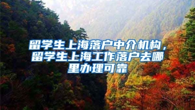 留学生上海落户中介机构，留学生上海工作落户去哪里办理可靠