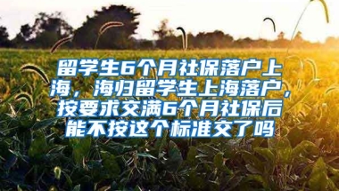 留学生6个月社保落户上海，海归留学生上海落户，按要求交满6个月社保后能不按这个标准交了吗