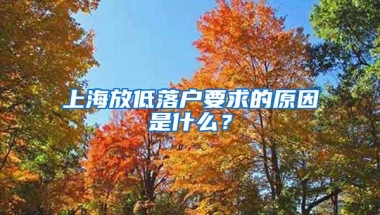 外国小留学生的“中国求学记”：想和中国一起成长