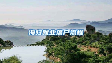 海归就业落户流程