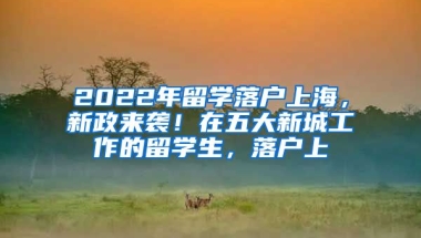 2022年留学落户上海，新政来袭！在五大新城工作的留学生，落户上