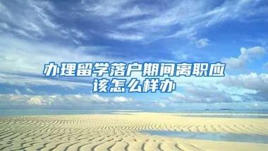 办理留学落户期间离职应该怎么样办