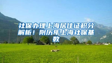 工作交了一年社保后离职，要继续交社保吗？