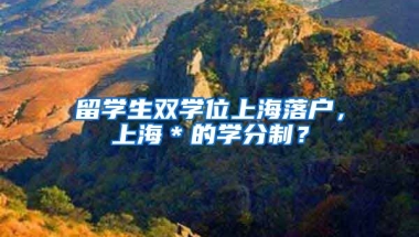 留学生双学位上海落户，上海＊的学分制？