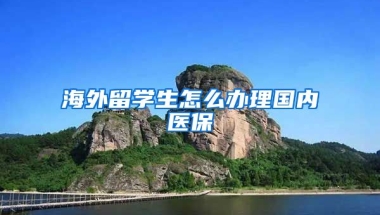 海外留学生怎么办理国内医保