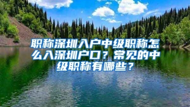 职称深圳入户中级职称怎么入深圳户口？常见的中级职称有哪些？