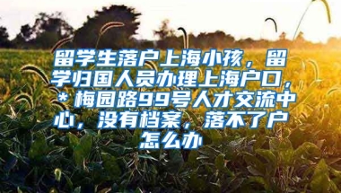 留学生落户上海小孩，留学归国人员办理上海户口，＊梅园路99号人才交流中心，没有档案，落不了户怎么办