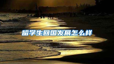 留学生回国发展怎么样