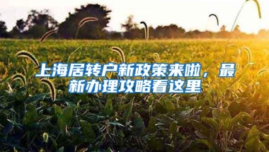 为什么大多数人想选择落户广州，而不是落户深圳呢？