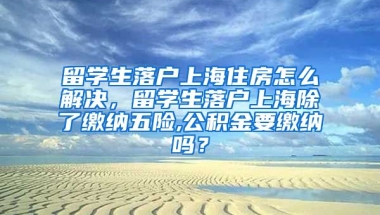 留学生落户上海住房怎么解决，留学生落户上海除了缴纳五险,公积金要缴纳吗？