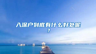 在深圳教育中，2017年深户与非深户的区别