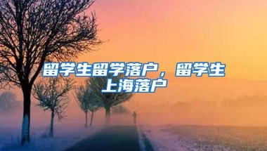 留学生留学落户，留学生上海落户