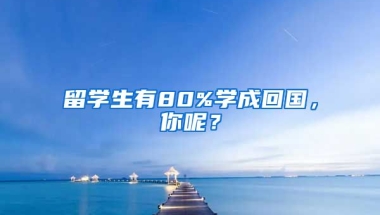 留学生有80%学成回国，你呢？