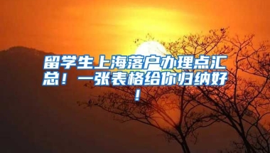 留学生上海落户办理点汇总！一张表格给你归纳好！