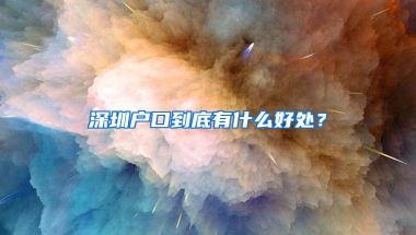 深圳这些地方可以24小时办理身份证、港澳通行证、社保等业务