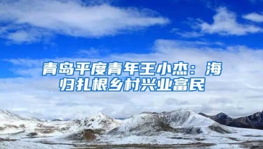 青岛平度青年王小杰：海归扎根乡村兴业富民