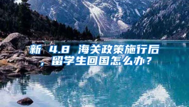 新 4.8 海关政策施行后，留学生回国怎么办？