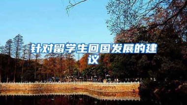 针对留学生回国发展的建议