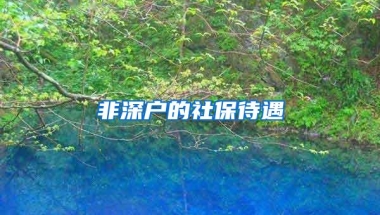 深圳新添一个“文旅巨作”，与地铁2号线无缝衔接，落户南山区