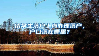 留学生落户上海办理落户，户口落在哪里？