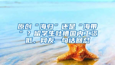 原创“海归”还是“海带”？留学生吐槽国内工资低，网友一句话回怼