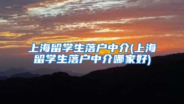 上海留学生落户中介(上海留学生落户中介哪家好)