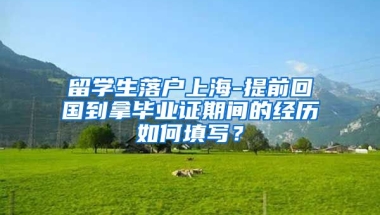 留学生落户上海-提前回国到拿毕业证期间的经历如何填写？