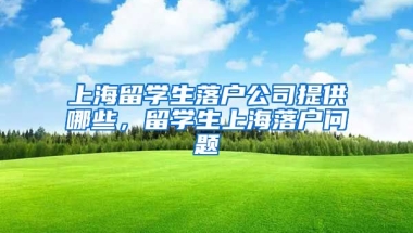 上海留学生落户公司提供哪些，留学生上海落户问题