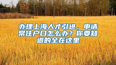 2019年入户深圳的你，将拥有这些优势