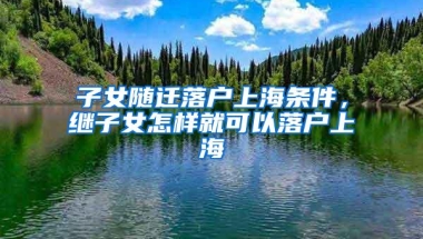 深圳积分入户计算器（深圳怎么查询个人积分算法）