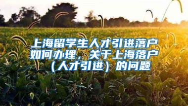 上海留学生人才引进落户如何办理，关于上海落户（人才引进）的问题