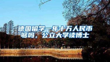 德国留学一年十万人民币够吗，公立大学读博士