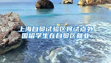 上海自贸试验区将试点外国留学生在自贸区就业