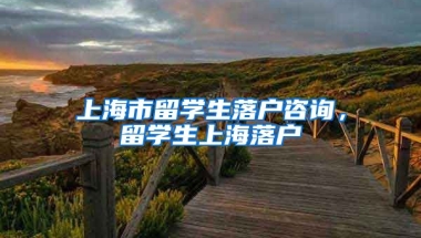 上海市留学生落户咨询，留学生上海落户