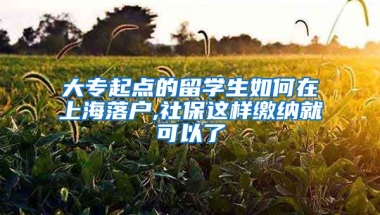 大专起点的留学生如何在上海落户,社保这样缴纳就可以了