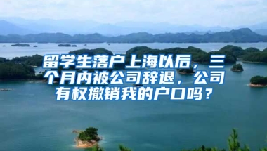 留学生落户上海以后，三个月内被公司辞退，公司有权撤销我的户口吗？