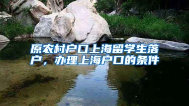 原农村户口上海留学生落户，办理上海户口的条件