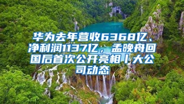 华为去年营收6368亿、净利润1137亿，孟晚舟回国后首次公开亮相丨大公司动态