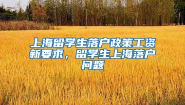 上海留学生落户政策工资新要求，留学生上海落户问题