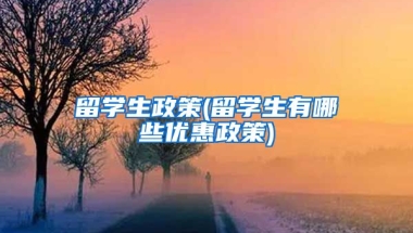 留学生政策(留学生有哪些优惠政策)