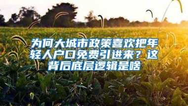 深圳人才安居保障性租赁住房REITs获批，募集资金用于保障房建设