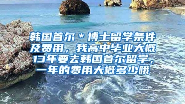 韩国首尔＊博士留学条件及费用，我高中毕业大概13年要去韩国首尔留学，一年的费用大概多少哦