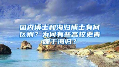 国内博士和海归博士有何区别？为何有些高校更青睐于海归？