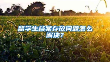 留学生档案存放问题怎么解决？