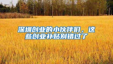 深圳集体户口“很鸡肋”？千万别信，它的好处真不比个人户口少！