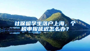 社保留学生落户上海，个税申报延迟怎么办？